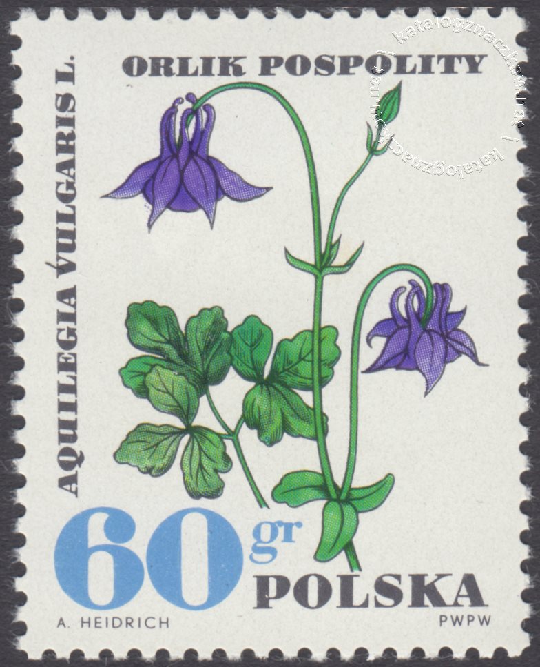 Rośliny chronione znaczek nr 1624