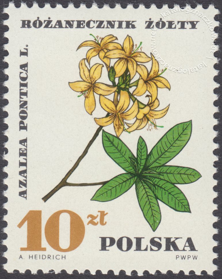 Rośliny chronione znaczek nr 1628