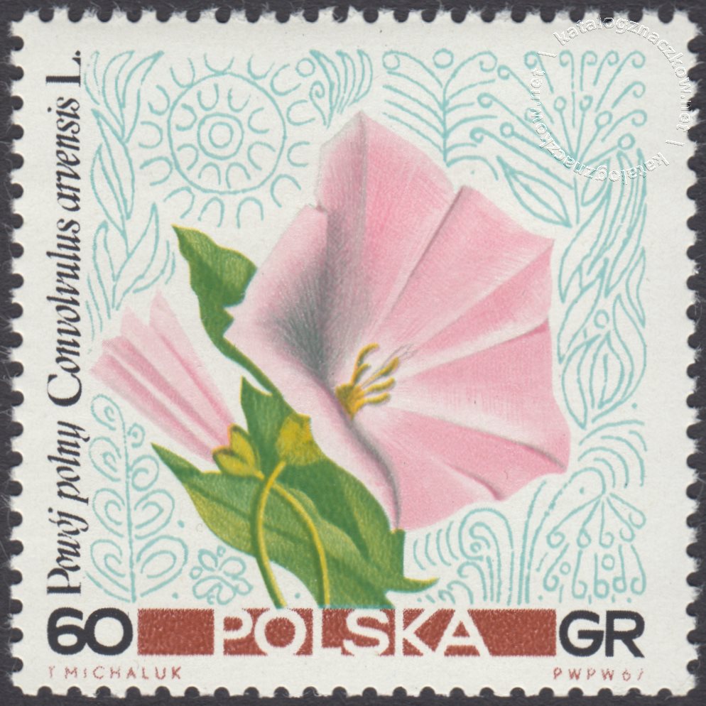 Kwiaty polne znaczek nr 1636