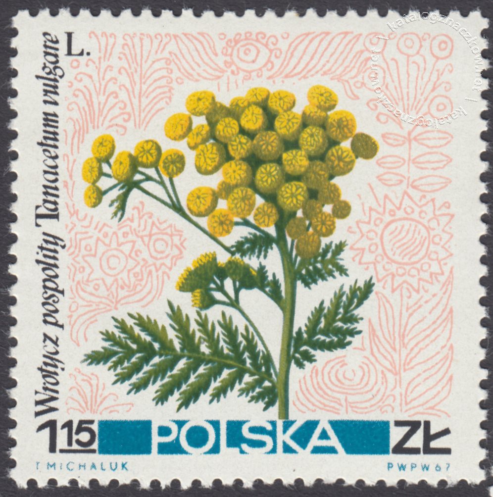 Kwiaty polne znaczek nr 1638