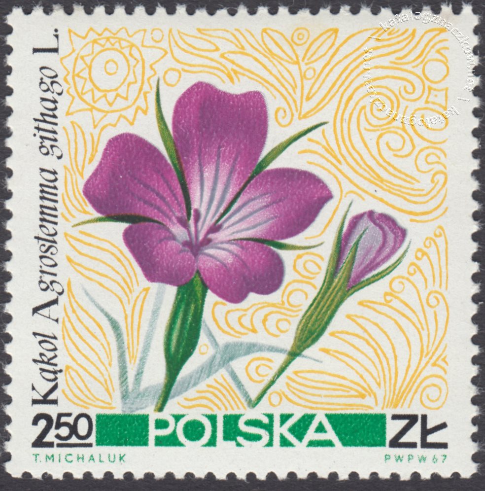Kwiaty polne znaczek nr 1639