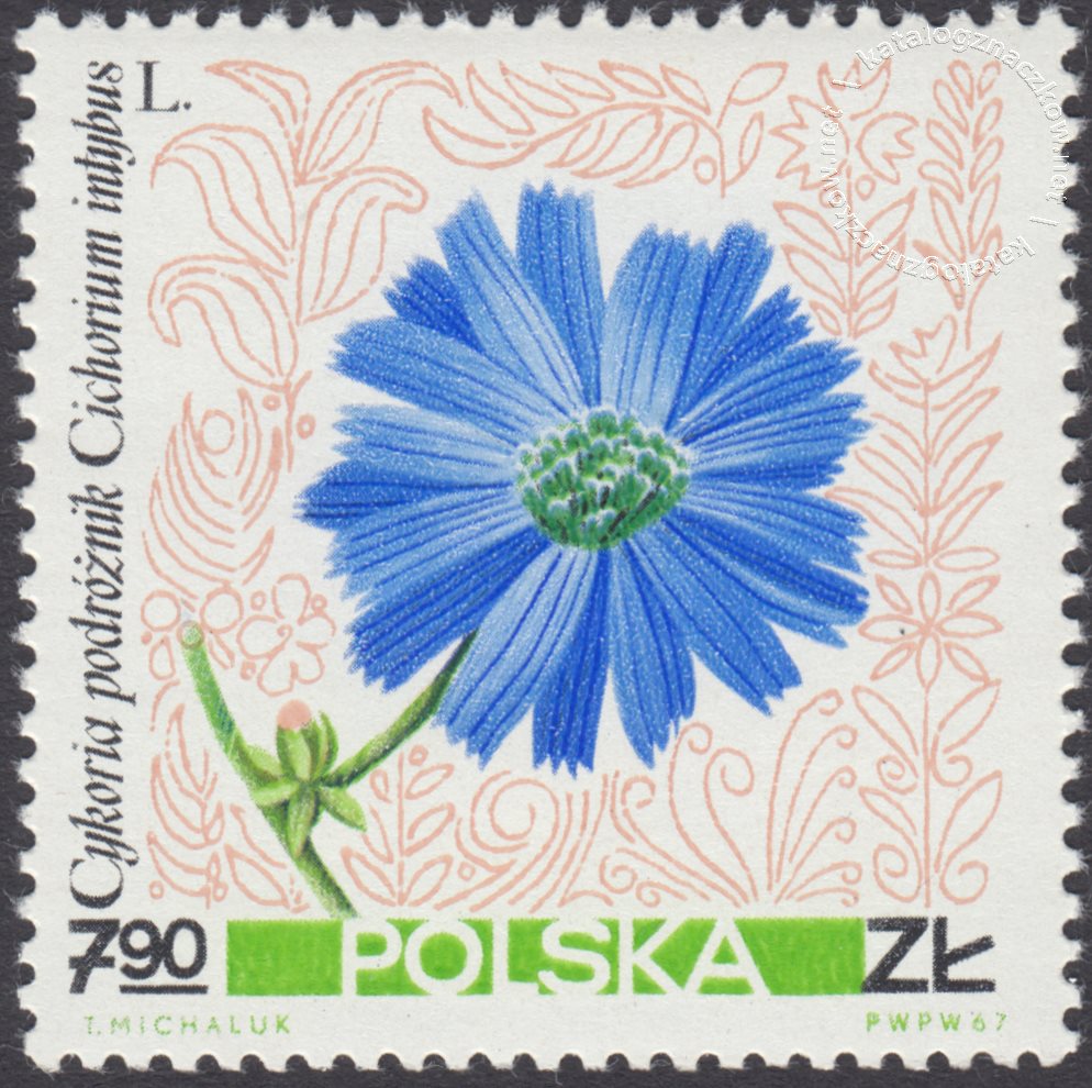Kwiaty polne znaczek nr 1642