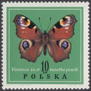 Motyle - 1650
