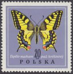 Motyle - 1651
