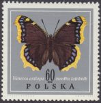 Motyle - 1653