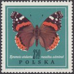 Motyle - 1655