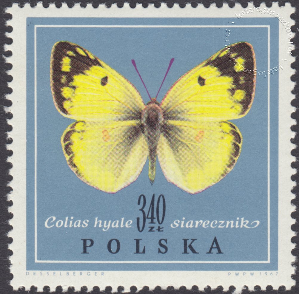 Motyle znaczek nr 1656