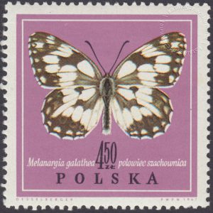 Motyle - 1657