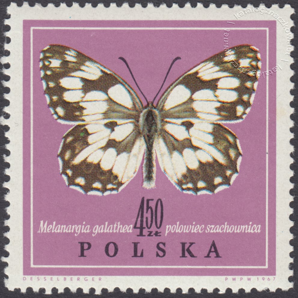 Motyle znaczek nr 1657