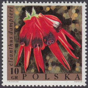 Kwiaty - 1689