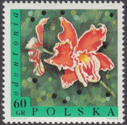 Kwiaty - 1693