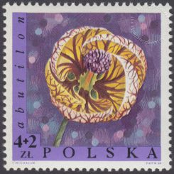 Kwiaty - 1695