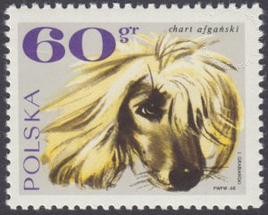 Rasy psów - 1753