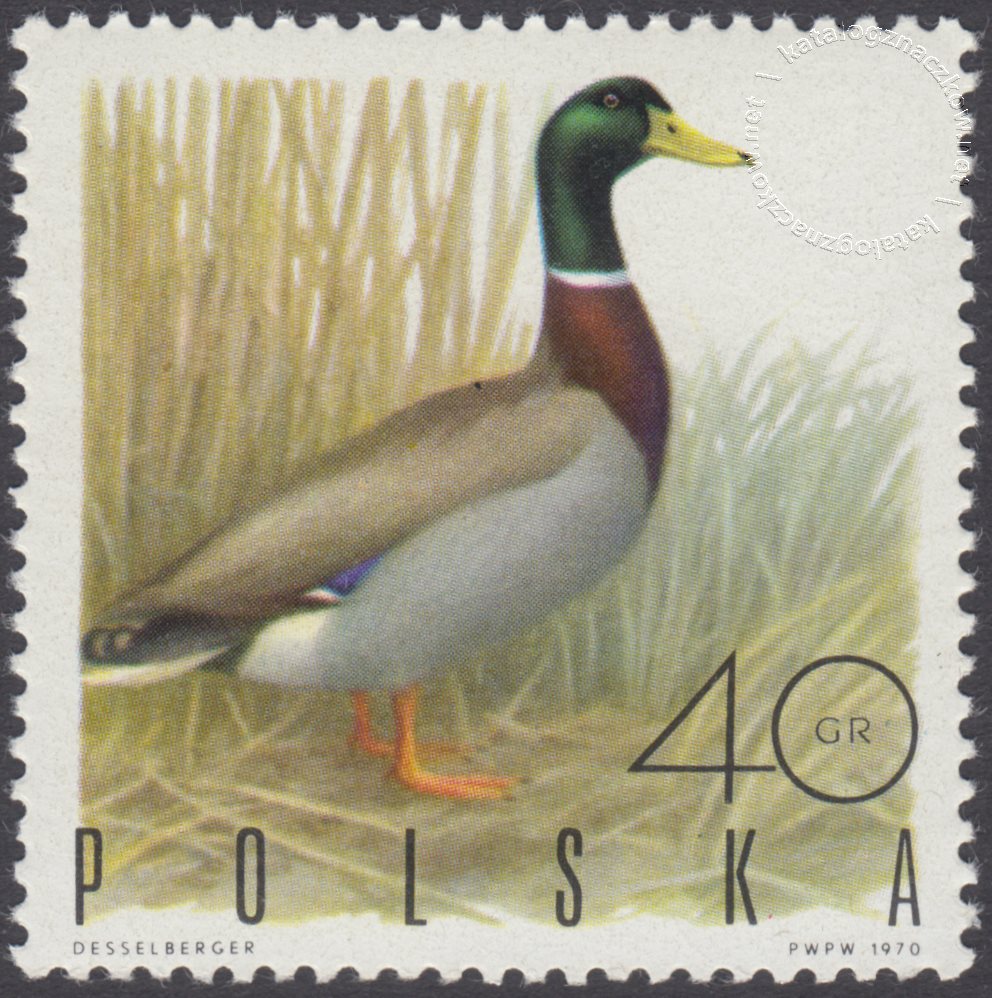 Ptaki łowne znaczek nr 1841