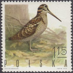 Ptaki łowne - 1843