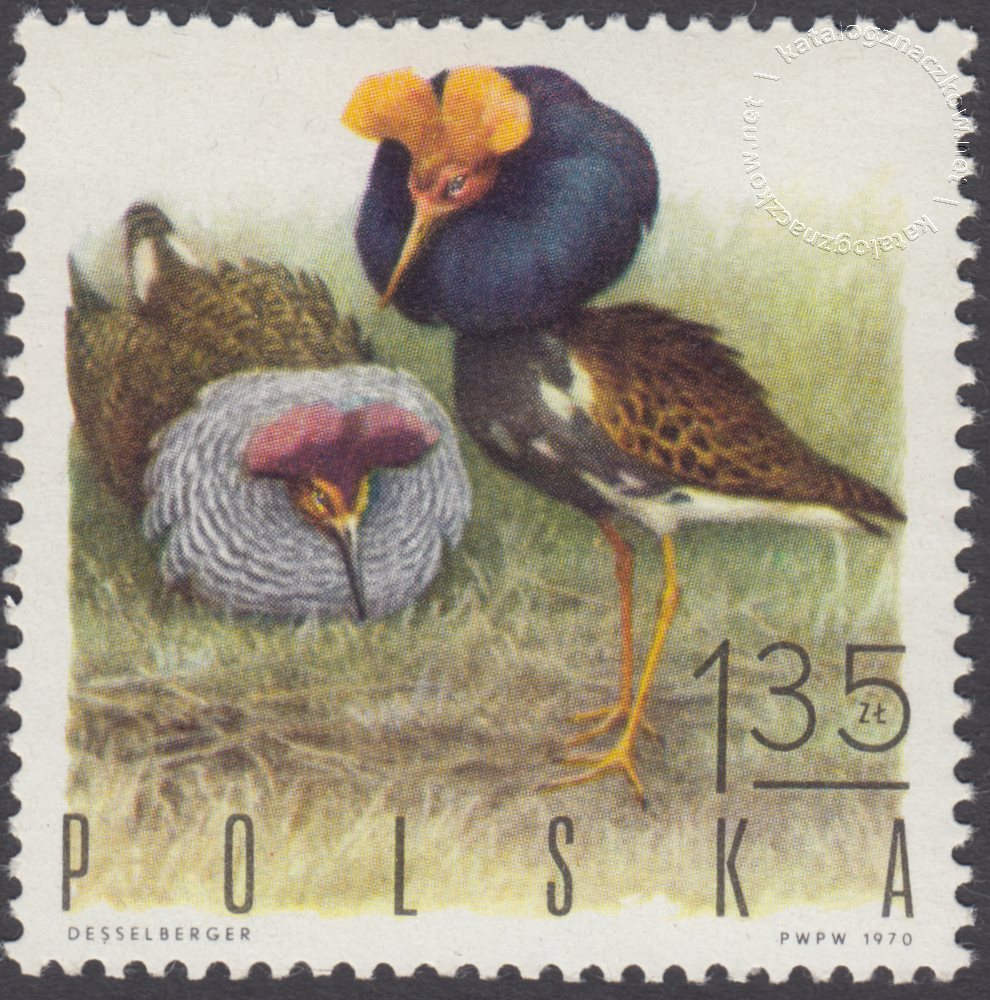 Ptaki łowne znaczek nr 1844