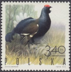 Ptaki łowne - 1846