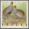Ptaki łowne - 1847