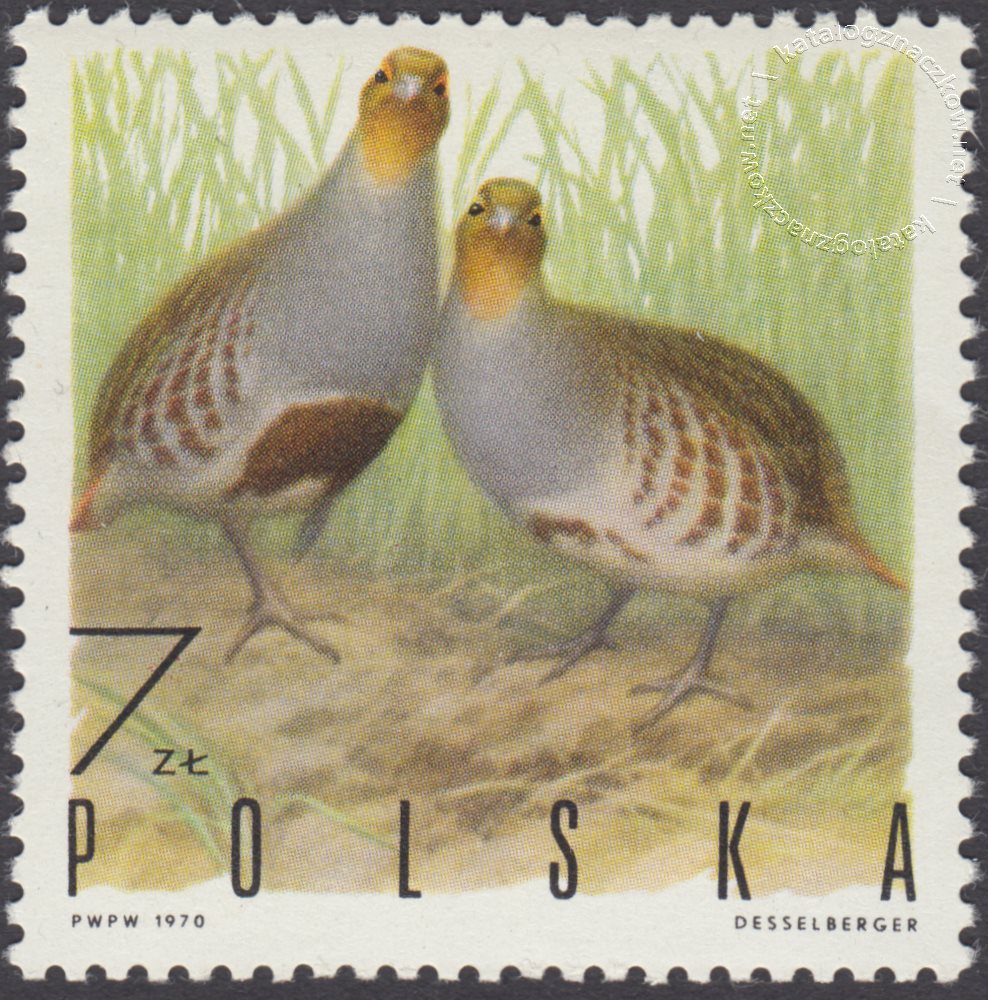 Ptaki łowne znaczek nr 1847