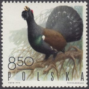 Ptaki łowne - 1848