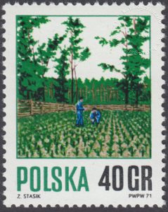 Gospodarka leśna - 1920