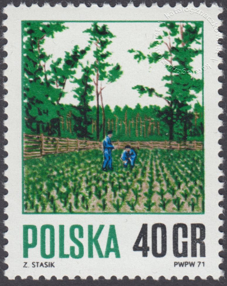 Gospodarka leśna znaczek nr 1920