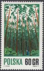 Gospodarka leśna - 1921
