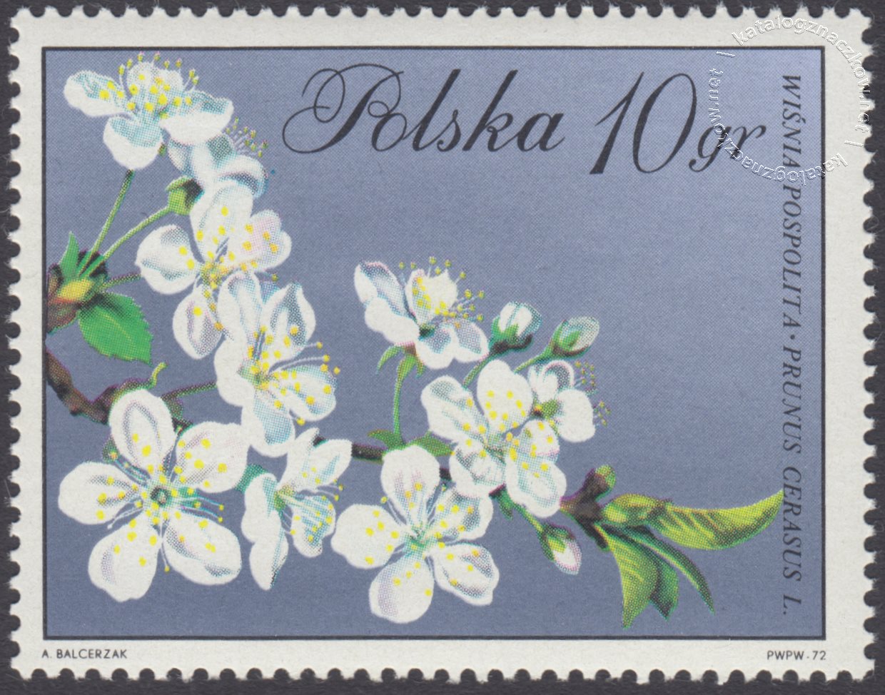 Kwiaty drzew znaczek nr 1985