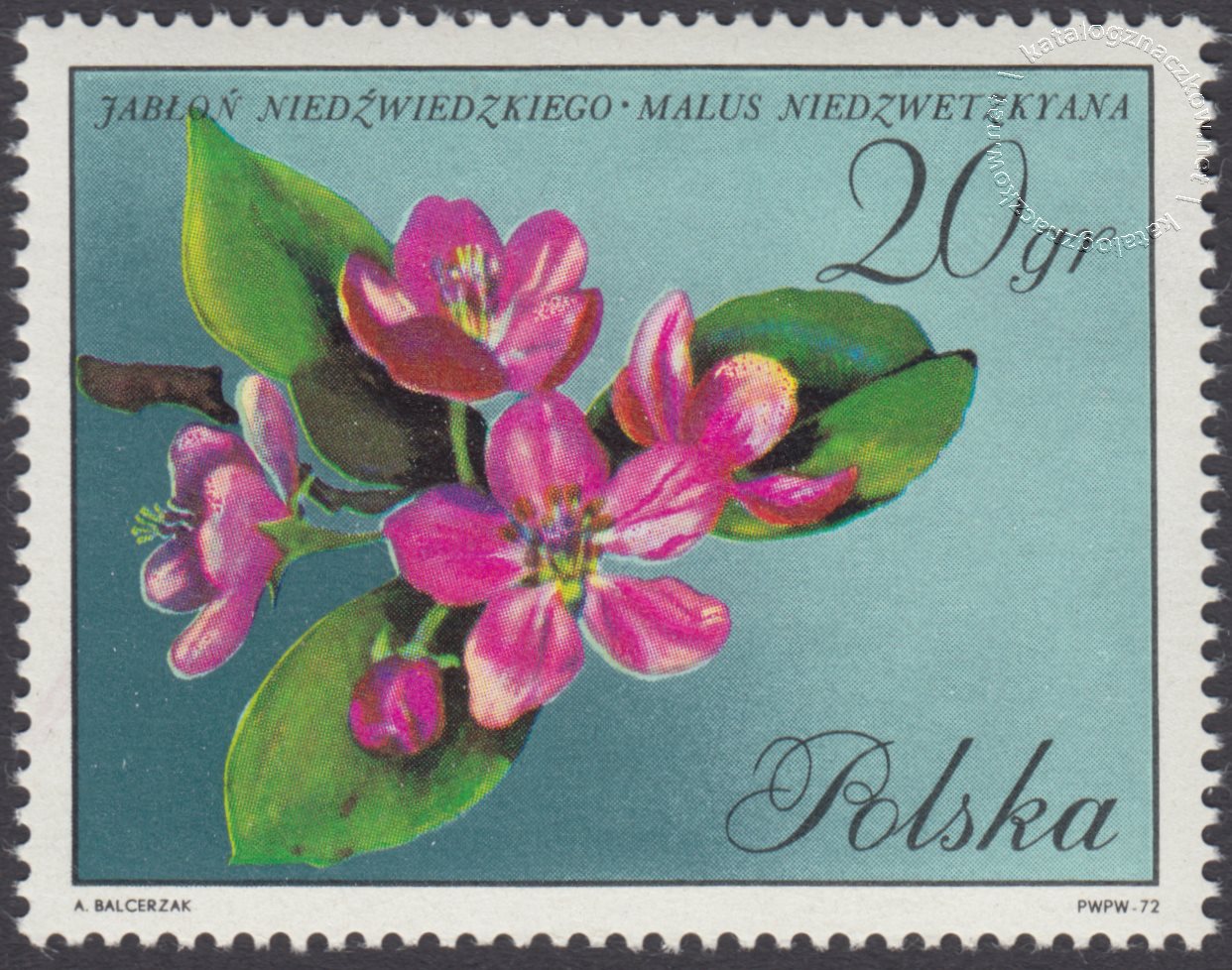 Kwiaty drzew znaczeek nr 1986