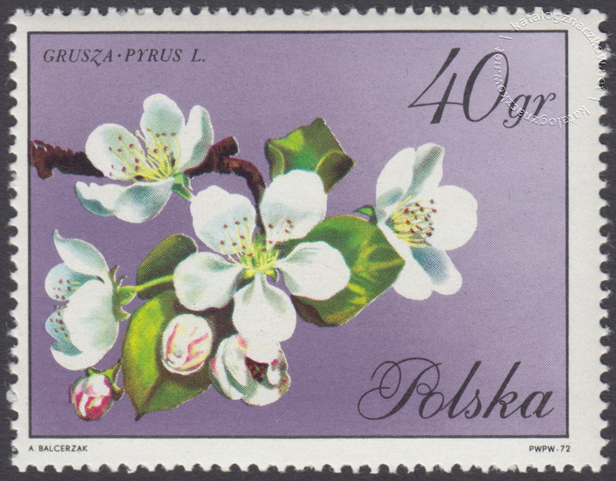 Kwiaty drzew znaczek nr 1987