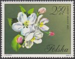 Kwiaty drzew - 1991