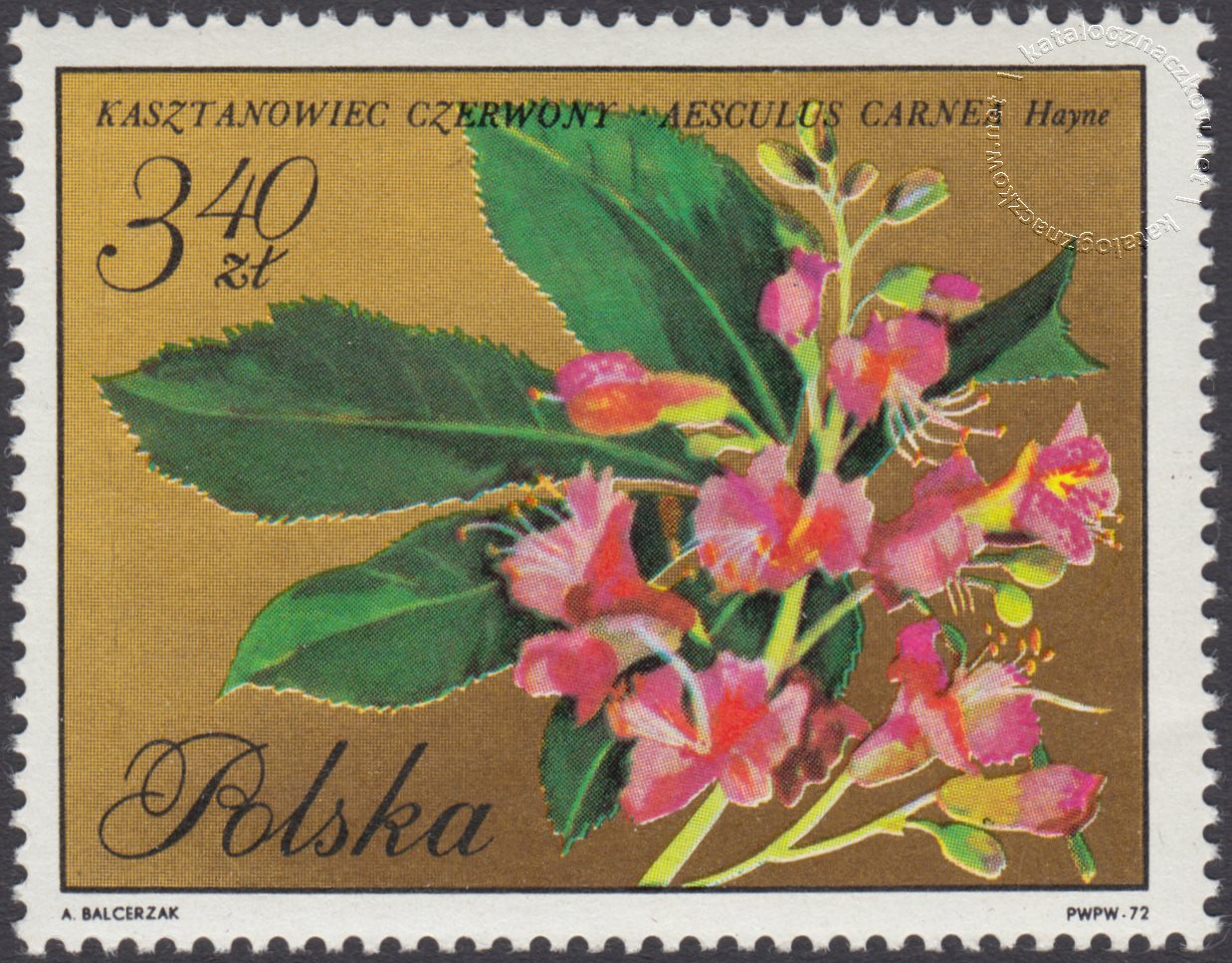 Kwiaty drzew znaczek nr 1992