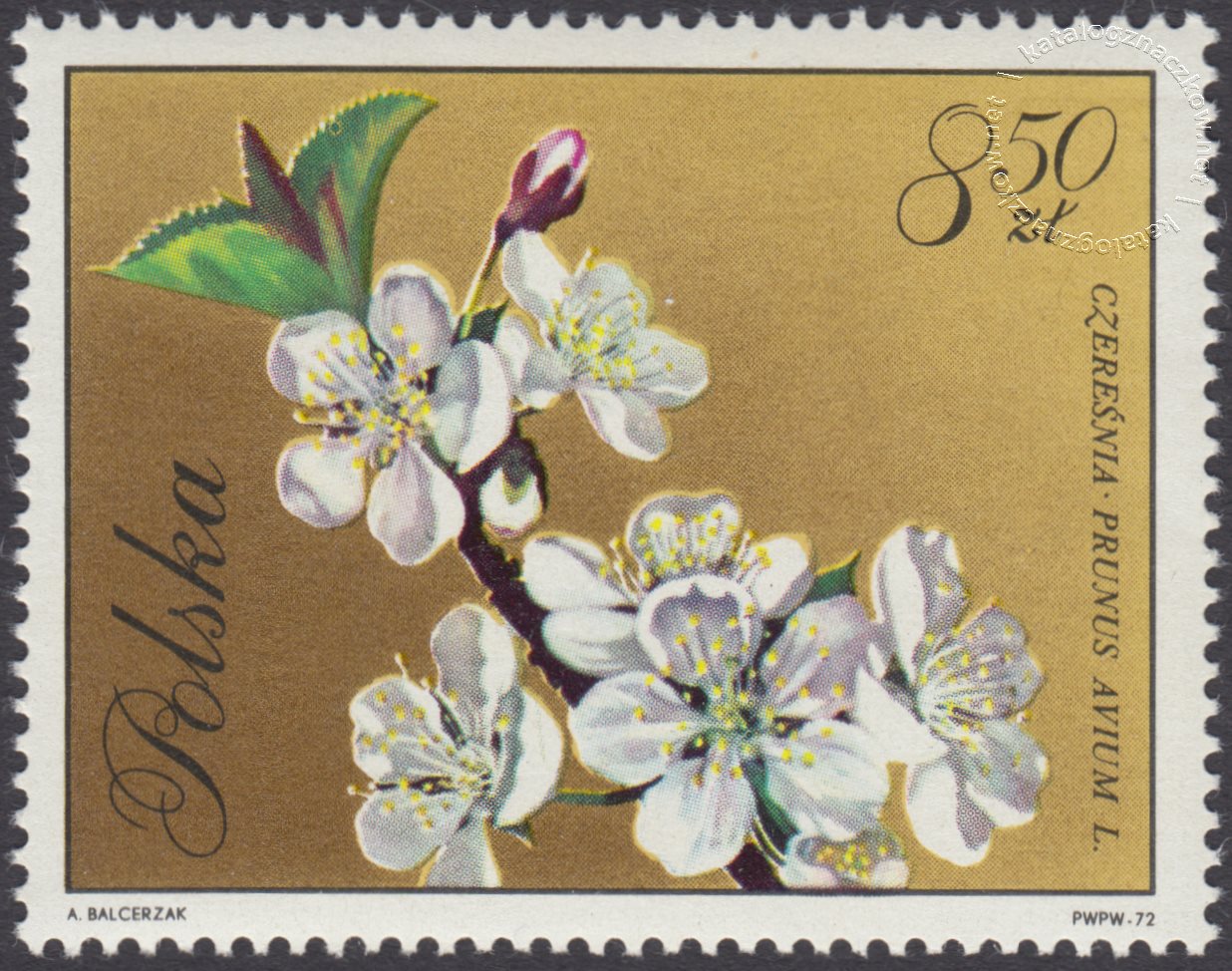 Kwiaty drzew znaczek nr 1994