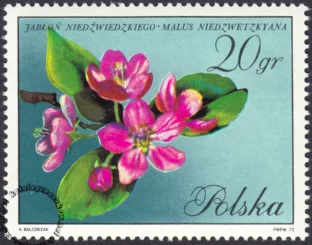 Kwiaty drzew znaczek numer 1985
