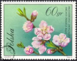 Kwiaty drzew znaczek numer 1988