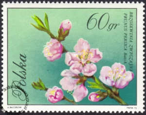 Kwiaty drzew znaczek numer 1988