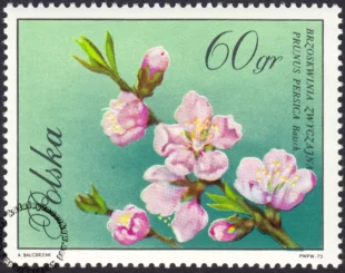 Kwiaty drzew znaczek numer 1988