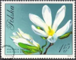 Kwiaty drzew znaczek numer 1989