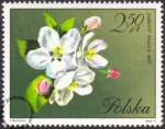 Kwiaty drzew znaczek numer 1991