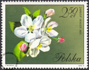 Kwiaty drzew znaczek numer 1991