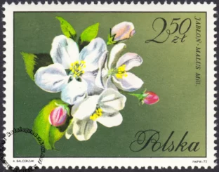 Kwiaty drzew znaczek numer 1991