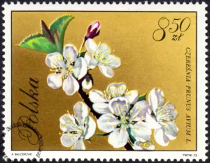 Kwiaty drzew znaczek numer 1994