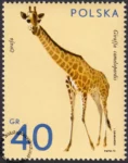 Zwierzęta ogrodów zoologicznych znaczek numer 2016
