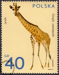 Zwierzęta ogrodów zoologicznych znaczek numer 2016