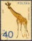Zwierzęta ogrodów zoologicznych znaczek numer 2016