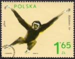 Zwierzęta ogrodów zoologicznych znaczek numer 2019