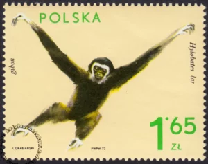 Zwierzęta ogrodów zoologicznych znaczek numer 2019