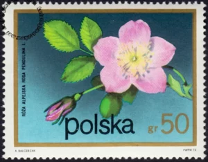 Kwiaty krzewów znaczek numer 2068