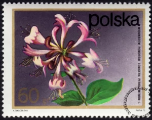 Kwiaty krzewów znaczek numer 2069