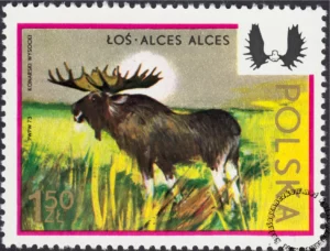 Zwierzyna łowna znaczek numer 2102